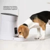 Alimentador De Ração Gato E Cão Automático Mimo PP010 Novo