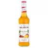 Bebida Xarope Monin Spicy Mango 700Ml