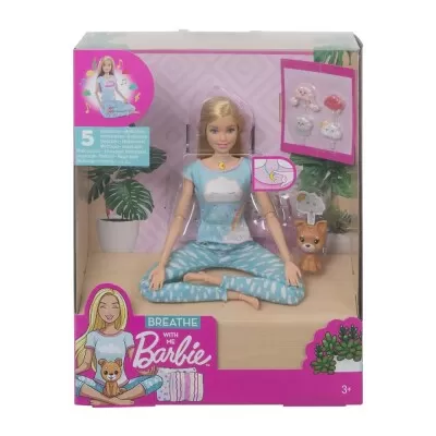 Barbie Closet Perfeito Com Boneca Articulada - Closet de Luxo