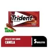 Chiclete Trident Sabor Canela 8G 1 Unidade