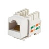 Conector Keystone Evus Rj45 Cat6e Branco C-102