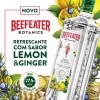 Gin Beefeater Botanics Lemon e Ginger 750ml