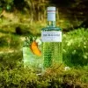 Gin Premium The Botanist Islay Dry 22 700ml C/ Vaso Botanist