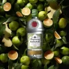 Gin Tanqueray Rangpur Lime 700ml