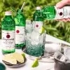 Gin Tanqueray The Definitive Tonic 275ml