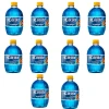 Kit Com 10 Coquetel Corote Blueberry 500Ml