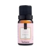 Kit De Aromatizador Standard + Aroma Breeze/Peonia Via Aroma