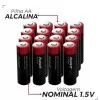 Kit De Pilhas Alcalinas AA Com 16 Unidades 1.5v - Avant