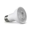 Lâmpada De Led Par20 E27 8E 6500K Bivolt Blumenau Novo [