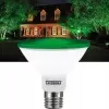 Lâmpada De Led Par38 Com Luz Verde 15w E27 Ip65 Taschibra