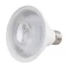 Lâmpada Led Par30 E27 11W 6000K Blumenau Novo