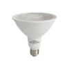 Lâmpada Led Par38 Bivolt 14W 1000lm 2.700K Novo