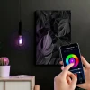 Lampada Smart Filamento Wifi 6W RGB G95 Taschibra