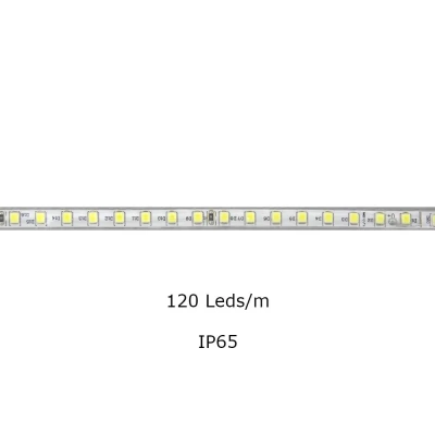 Mangueira Led 12w/m 120Leds/m 3000k Ip65 1 Metro 220v Mbled