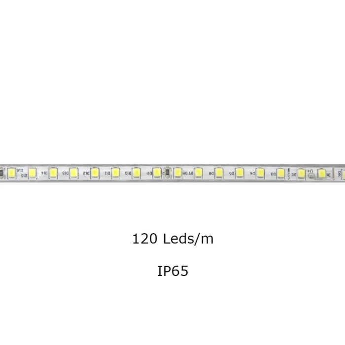 Mangueira Led 12w/m 120Leds/m 3000k Ip65 1 Metro 220v Mbled