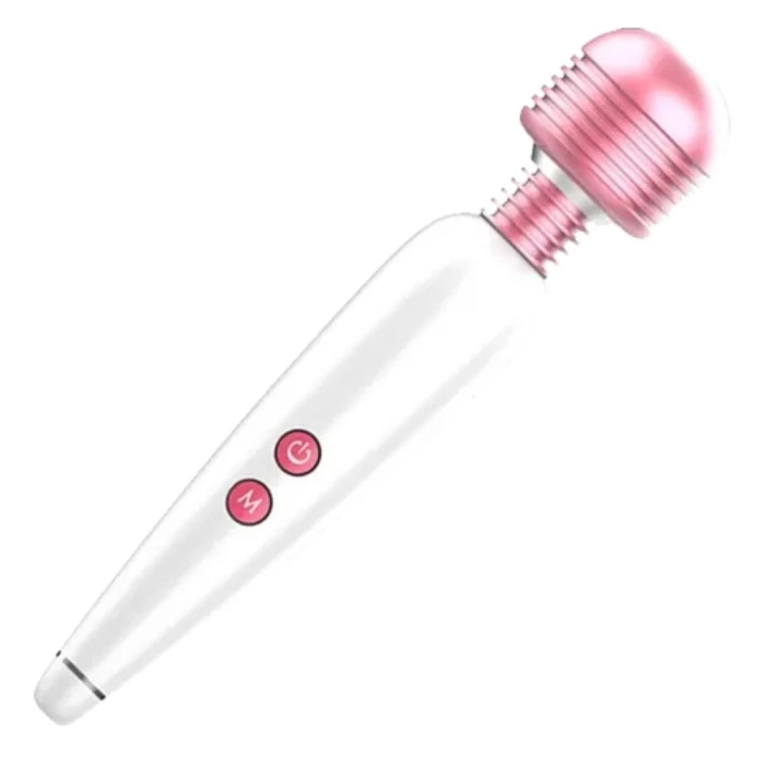 Massageador Pessoal Varinha Eletrica 2W-060