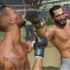 Mídia Física Jogo EA Sports UFC 4 PS4 Mídia Física Original