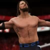 Mídia Física Jogo Wwe 2k17 Para Ps4 Original