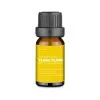 Óleo Essencial Sabor Ylang Ylang 10ml Multi Saude