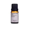 Óleos Essênciais Puros Relaxante Blend 10Ml