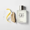 Perfume Acqua Di Gio Pour Homme Giorgio Armani Edt 100ml