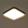 Plafon Led Queenstown 50cm 36W 3000K Preto/Dourado Skylight