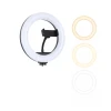 Ring Light 12 Polegadas Para Smartphone Com Suporte OR-PL812