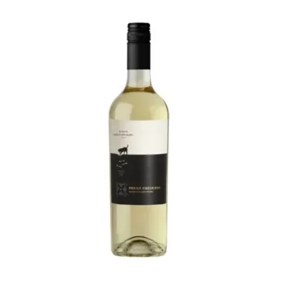 Vinho Branco Perro Callerjero Sauvignon Blanc 2022 Novo