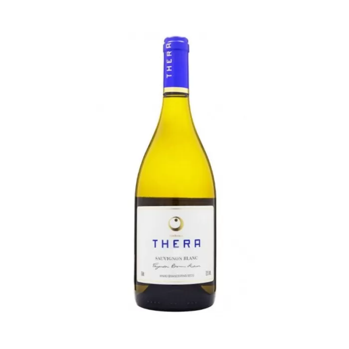 Vinho Branco Thera Sauvignon Blanc 2023 Catarinense 750ml