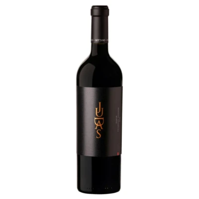 Vinho Tinto Judas Blend 2017 750ml Argentino Novo