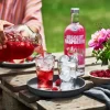 Vodka Absolut Raspberri Framboesa 750ml Original